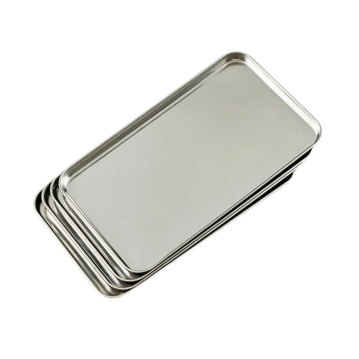 Stainless Steel Instrument Tray