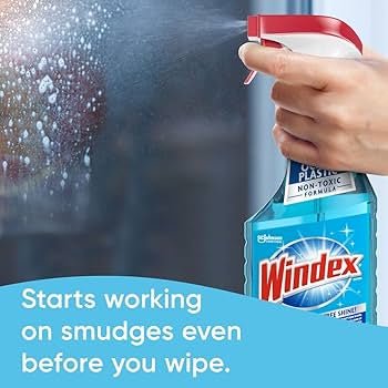 Windex Glass + Window Cleaner