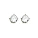 Inverness Earring Stainless Steel 5mm CZ - 181C