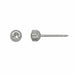 Inverness Earring Titanium 4MM Crystal Bezel - 17C