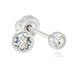 Inverness Earring Titanium 4MM Crystal Bezel - 17C