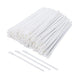 Lip Brushes / Lip Applicator Brush, Disposable 50 count