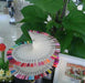 Nail Art Display Umbrella Spiral Tower Stand, 60 Tips