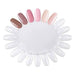 Nail Swatch Display Wheel, 20 Nail Tip Palette Clear