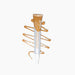 Thuya Lash & Brow Tint