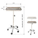 Stainless Steel Mobile Tray Cart / Trolley with Removable Tray for Medical Aesthetics