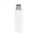 Ultrasonic Facial Cleansing Professional Beauty Tool